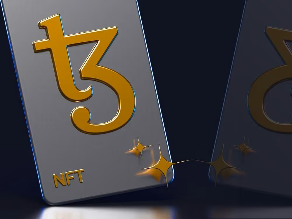 Pay up! Tezos NFT Payment Module Wert.io, And What it Means, image 2