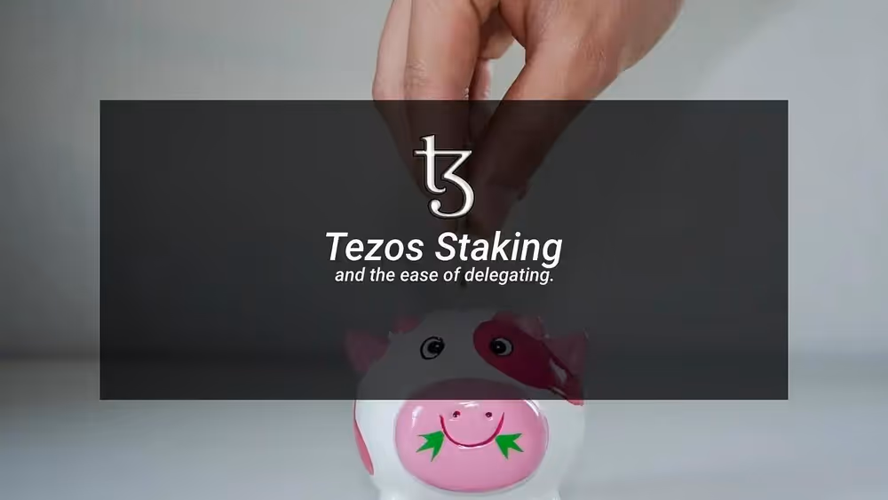 Why are you not staking your tez anon image 1