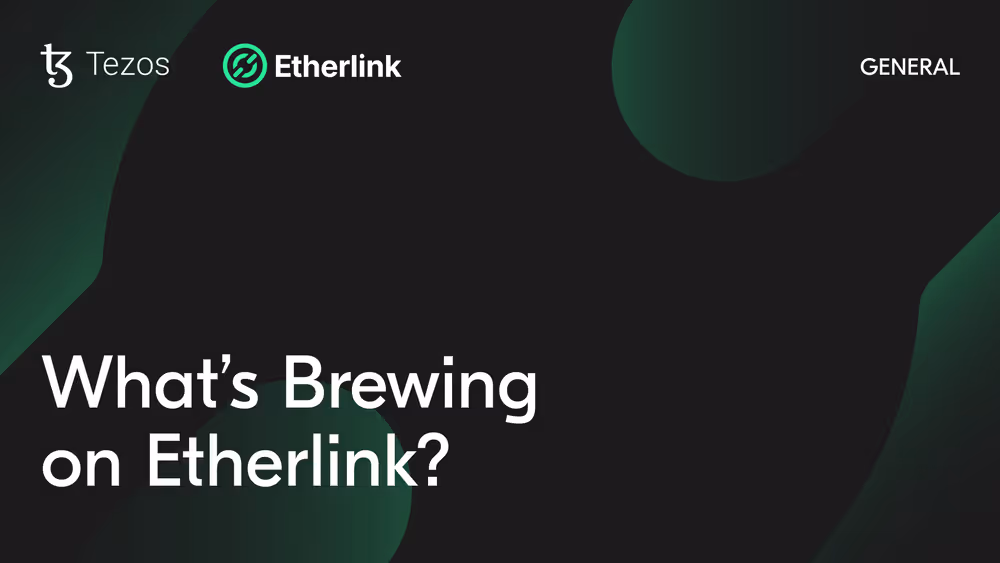 Tz Etherlink 1920x1080px Blog