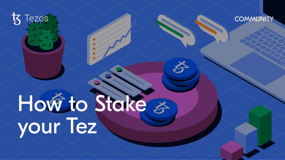 How to Stake Blog Cover