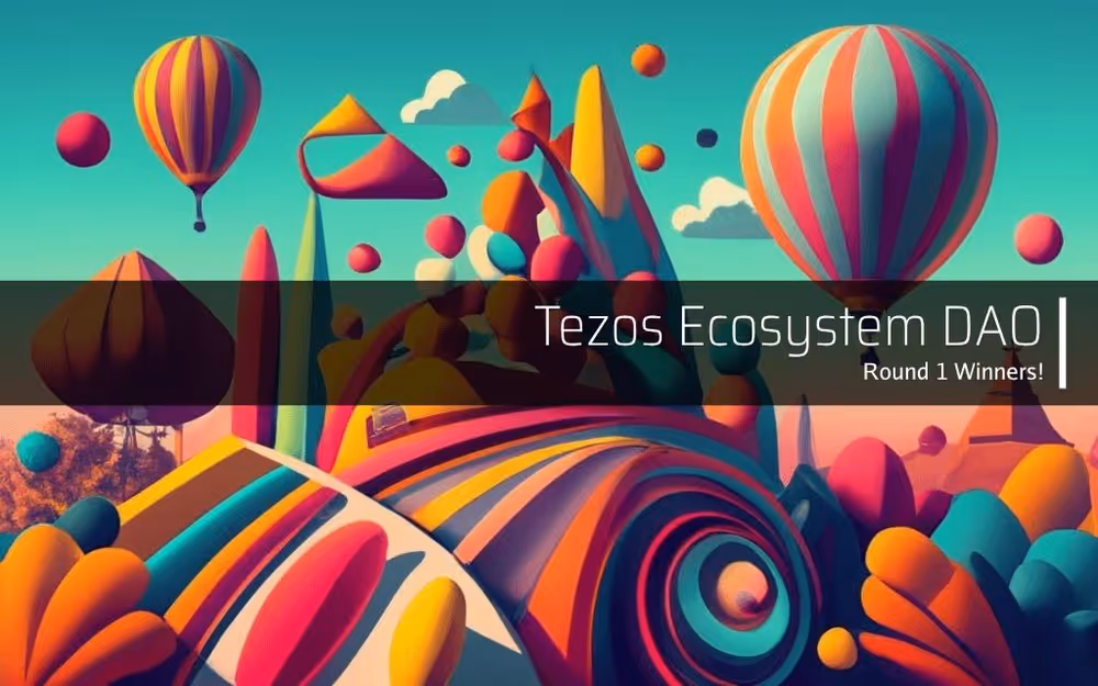 Introducing The Winners of Round One Of The Ecosystem DAO Proposals image 1