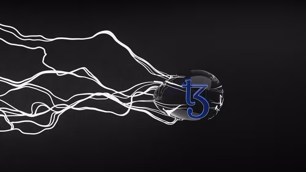 Tezos On-Chain Governance Explained, image 9